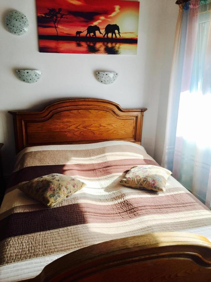 Rolling Stone Hostel Брашов Екстер'єр фото